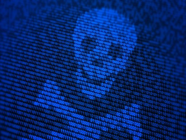 71% dos novos endereços de internet duram 24 horas