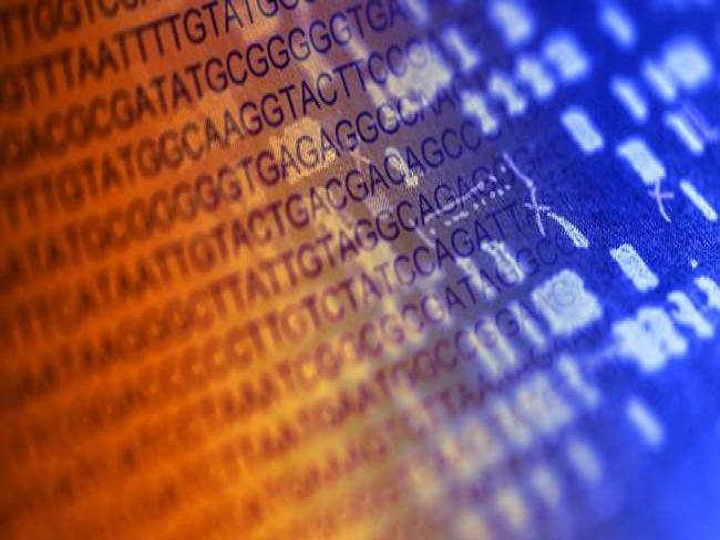 Comissão da Câmara aprova dedução no IR para quem financiar projetos de P&D