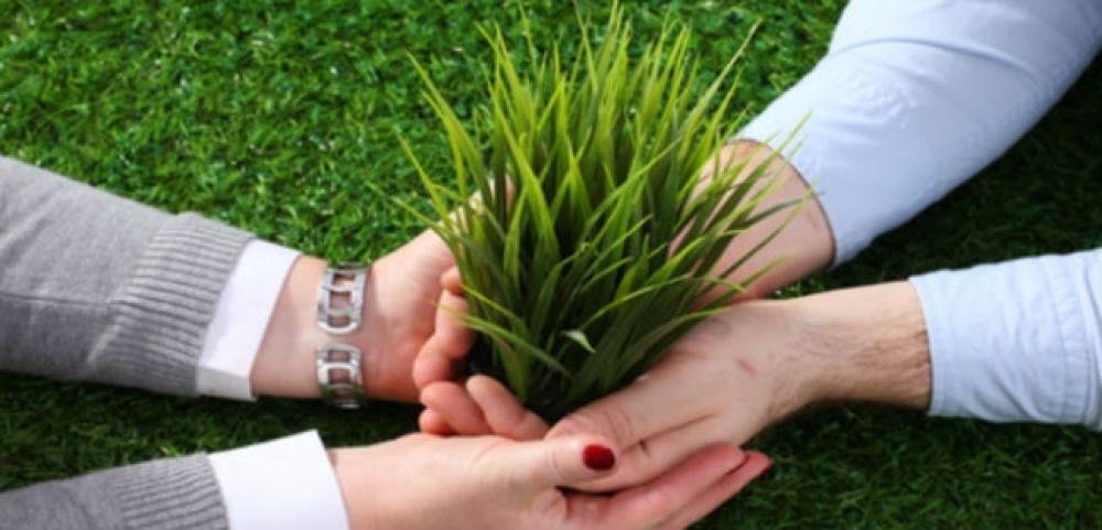 Startups com foco em problemas social e ambiental despontam no mercado