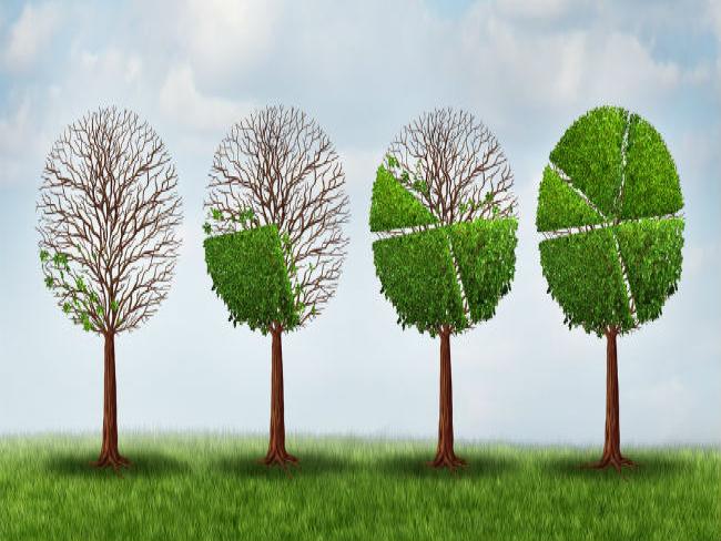 Equinix constrói parque de energia solar para reduzir liberação de carbono