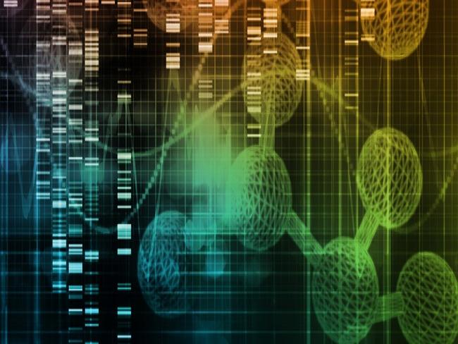 Google faz parceria com MIT e Harvard para levar análise do genoma para a nuvem