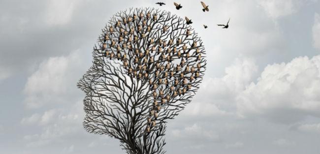 Ambiente voltado à inovação é fator crítico para sucesso de startups