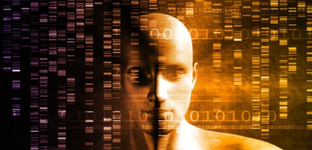 Facebook doa equipamentos para ajudar pesquisas sobre inteligência artificial