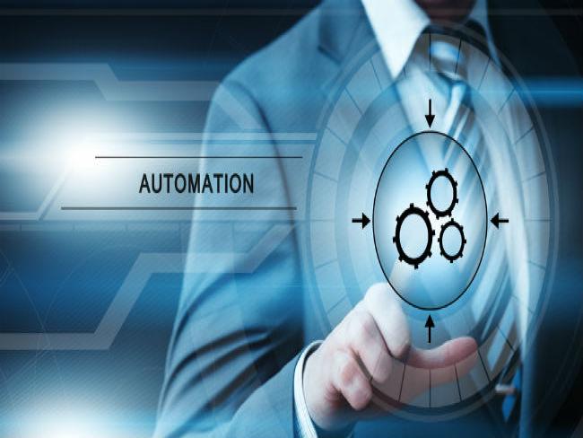 Mangels amplia sua governança e automatiza 10% do EDI