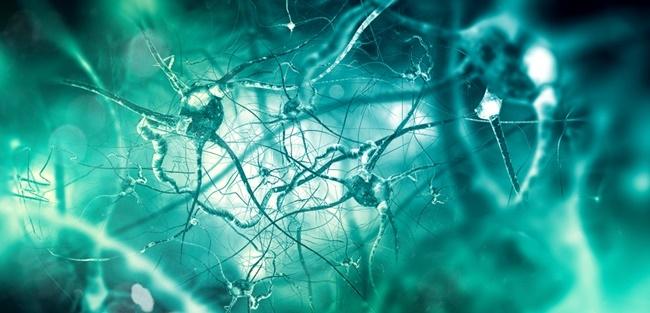 Pfizer e IBM se unem para inovar na assistência aos pacientes com Parkinson