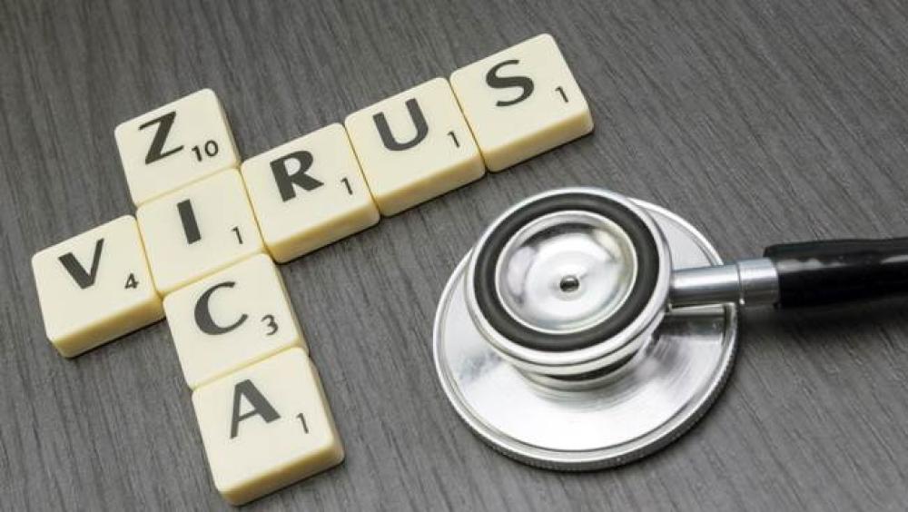 Argentina e Brasil querem financiamento europeu para pesquisa sobre Zika