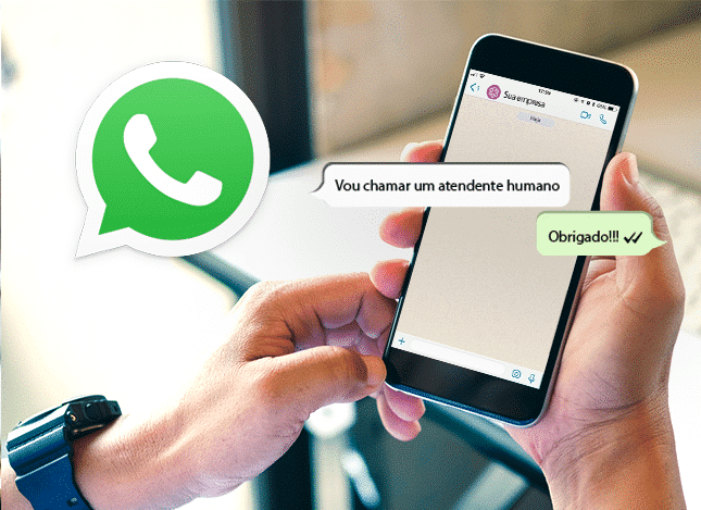 WhatsApp Business API