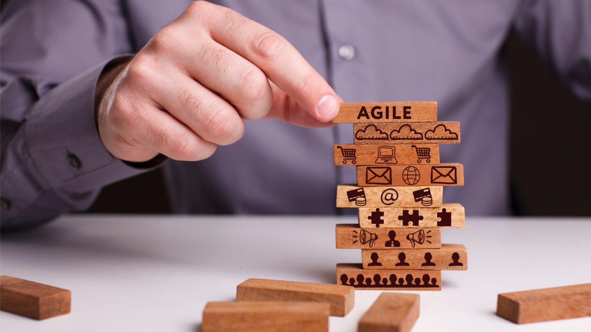 organizacao agil