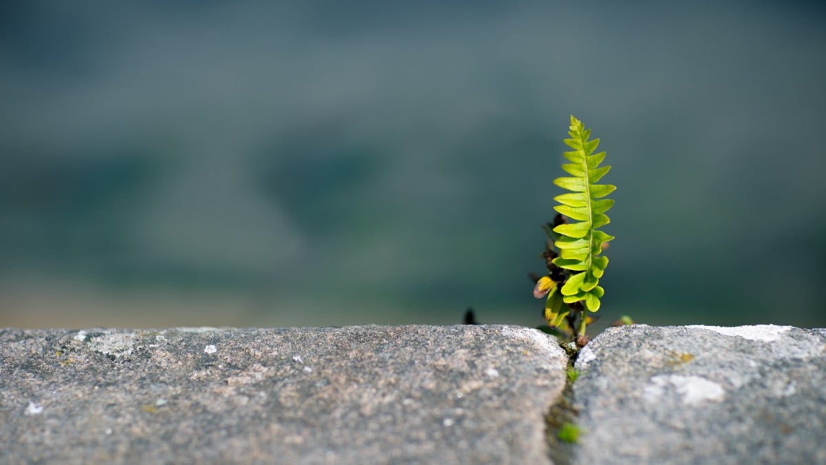 resiliência digital