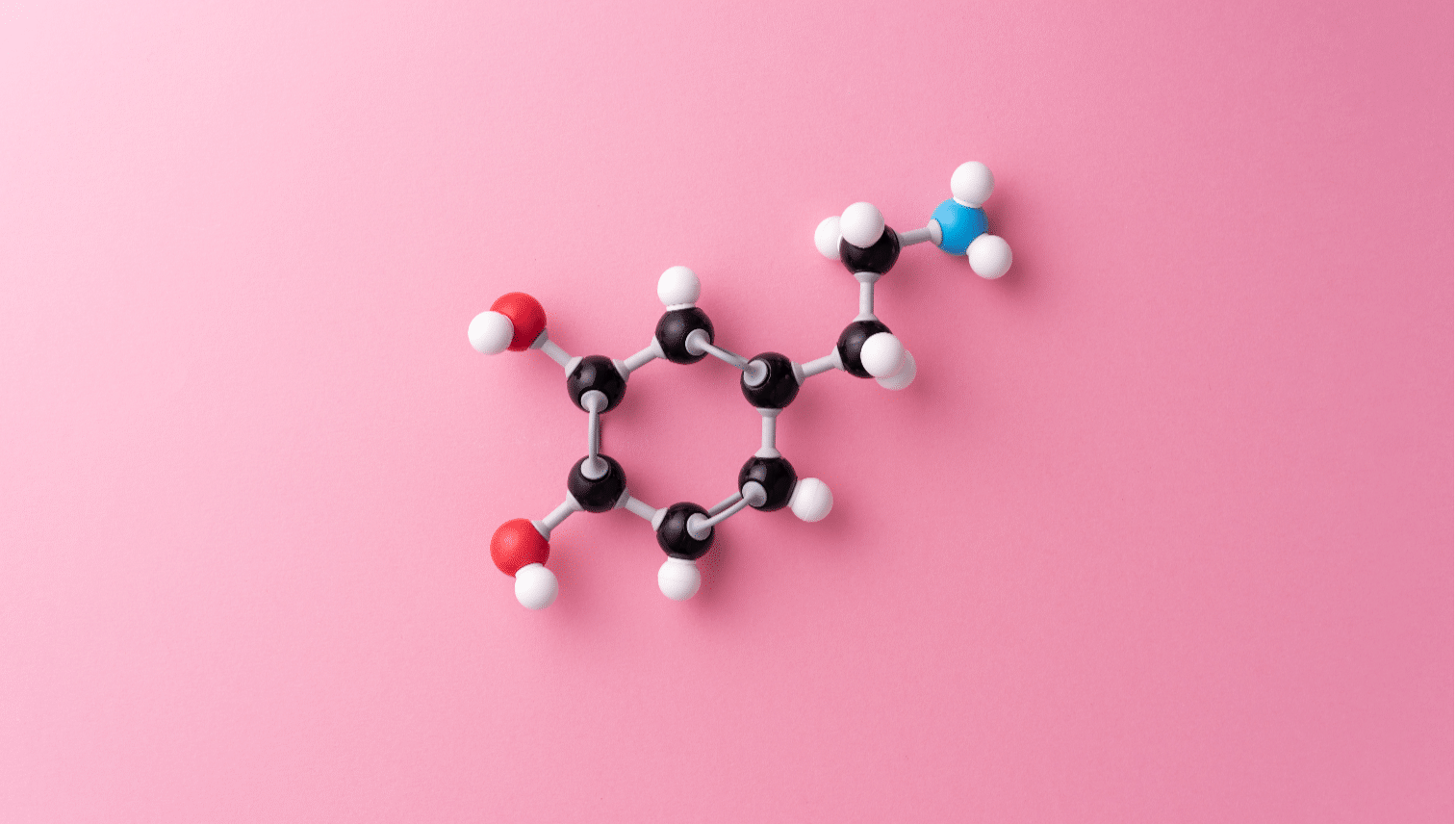 quimica-cocriacao-artigo
