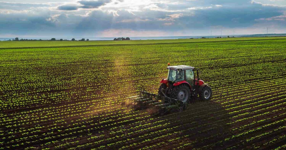 agropecuária, Vivo, Agrotoken