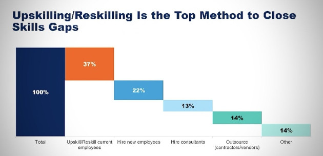 gartner-upskilling-graphic-100935003-large