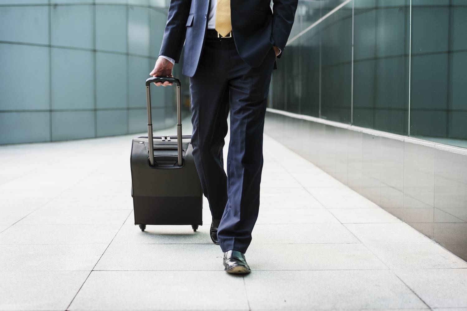 viagem, executivo, mala