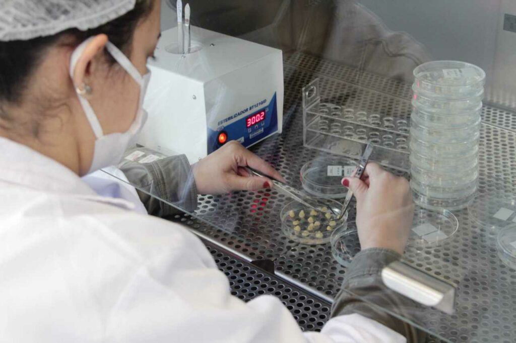 Projeto Prometheus IPT