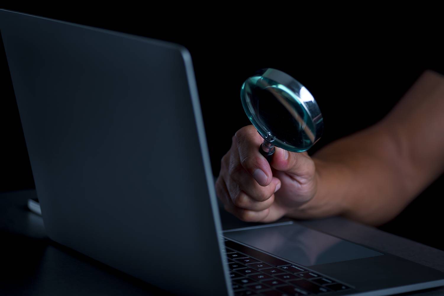 lupa, computador, busca, notebook, laptop, bug bounty