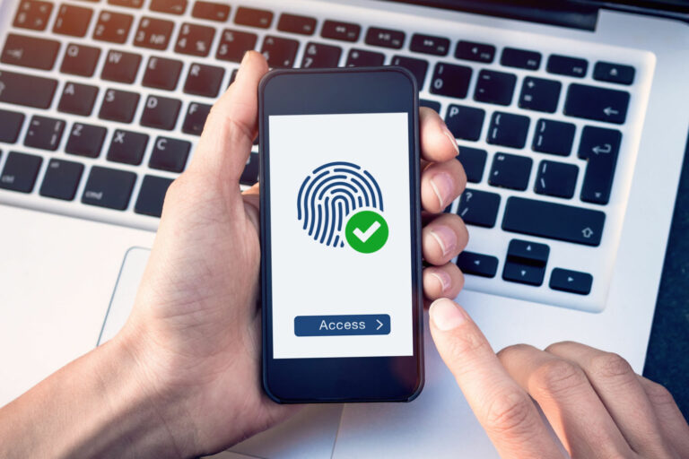 identificação, biometria