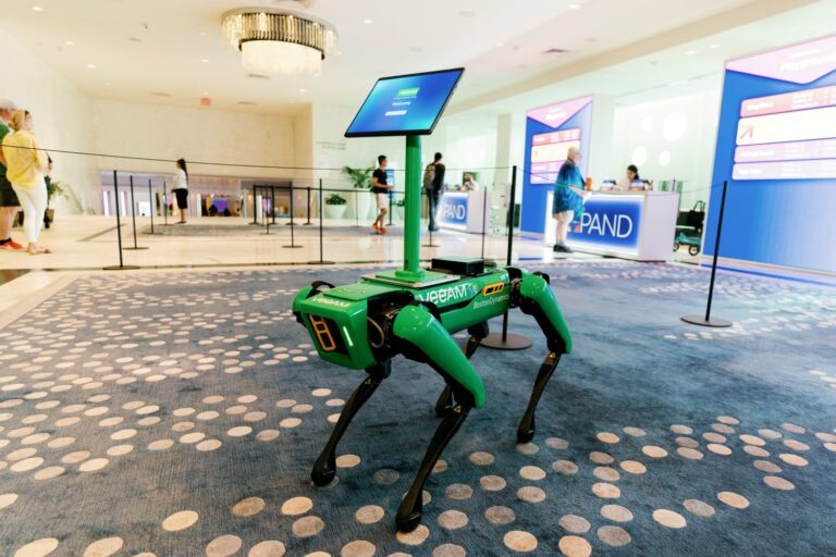 cão-robô, cachorro robô, boston dynamics