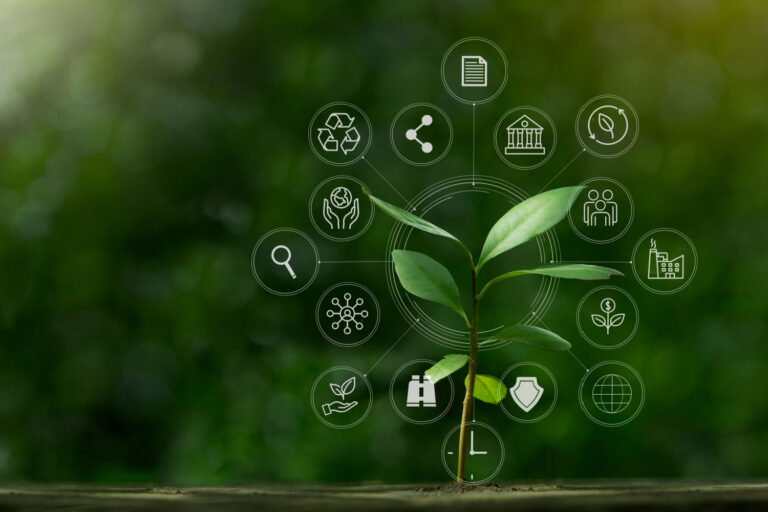 metas de sustentabilidade, estudo