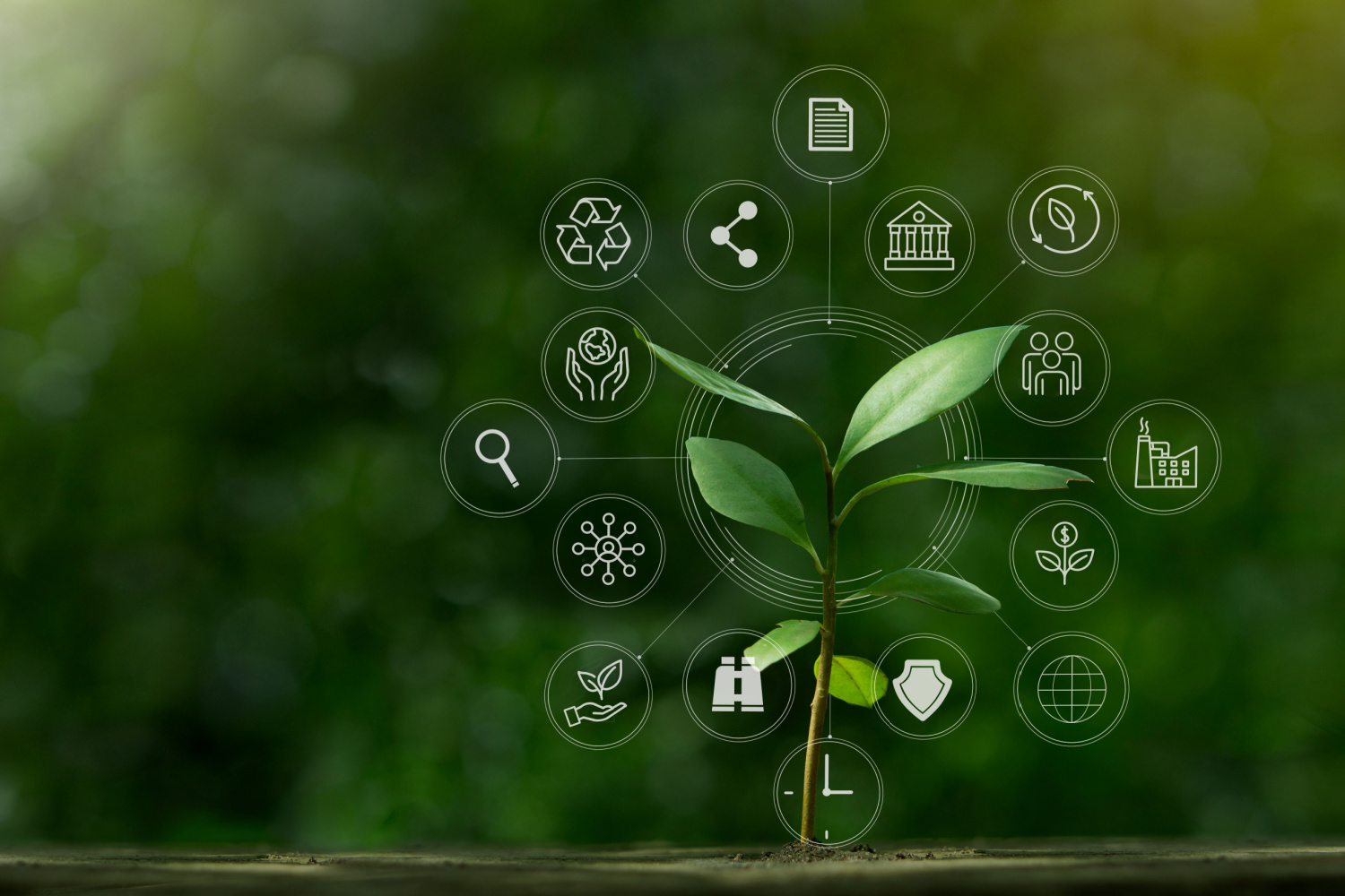 metas de sustentabilidade, estudo