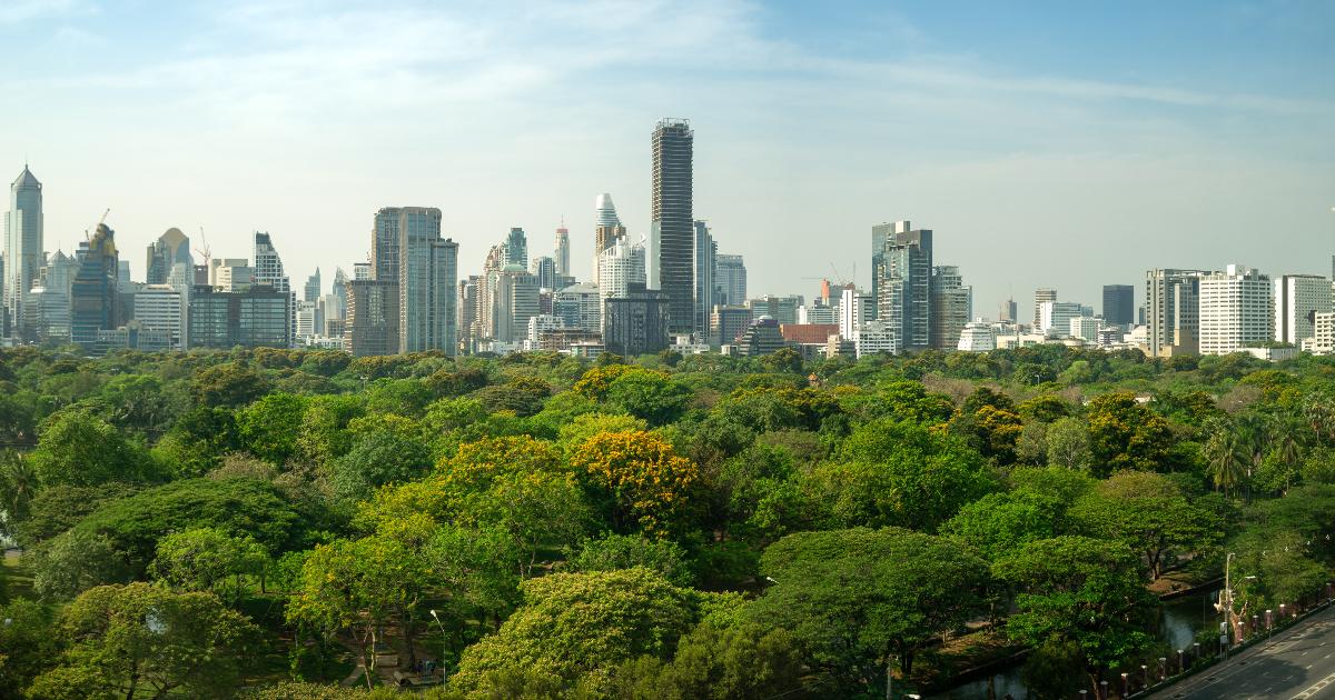 Dia da Árvore. ESG, cidade, ti verde, sustentabilidade, tecnologia, natureza