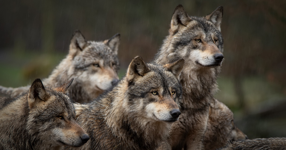 Imagem: Shutterstock