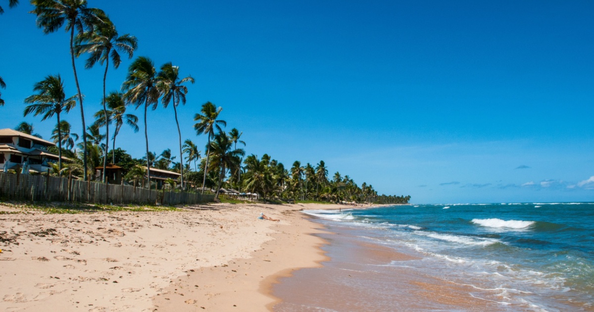 IT Forum Praia do Forte Foto: Shutterstock
