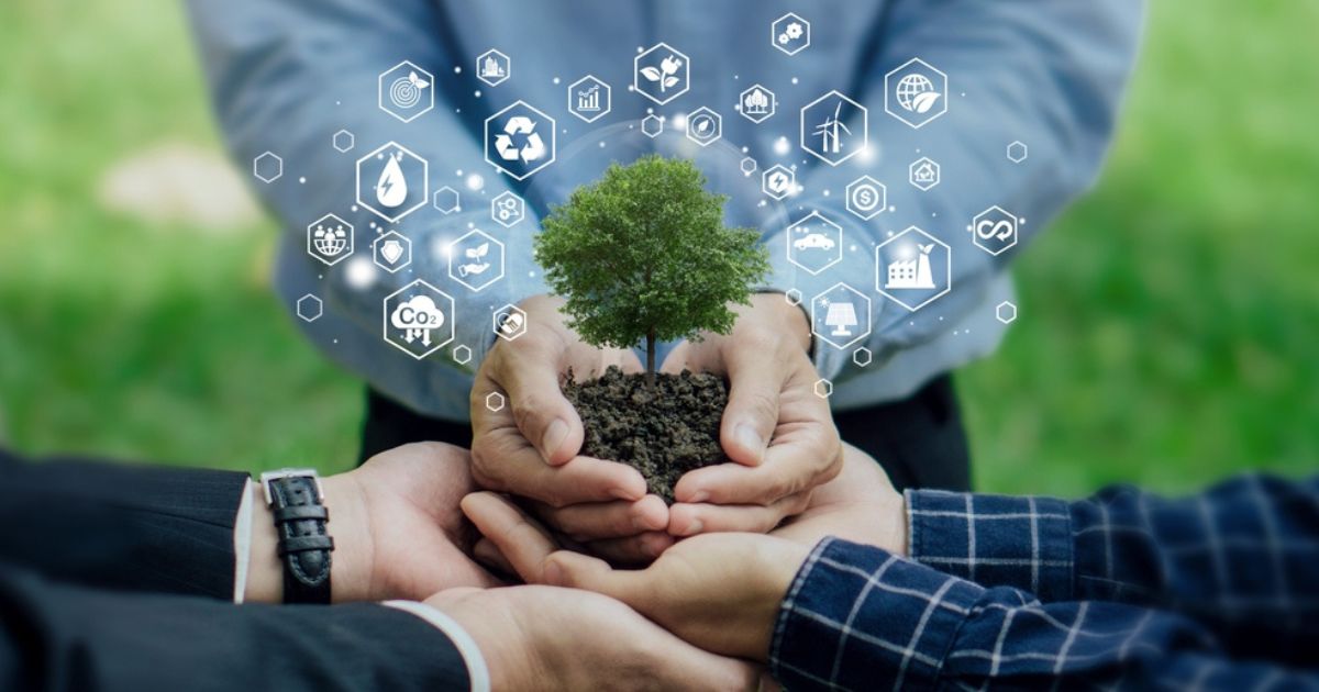 Sustentabilidade e negócios