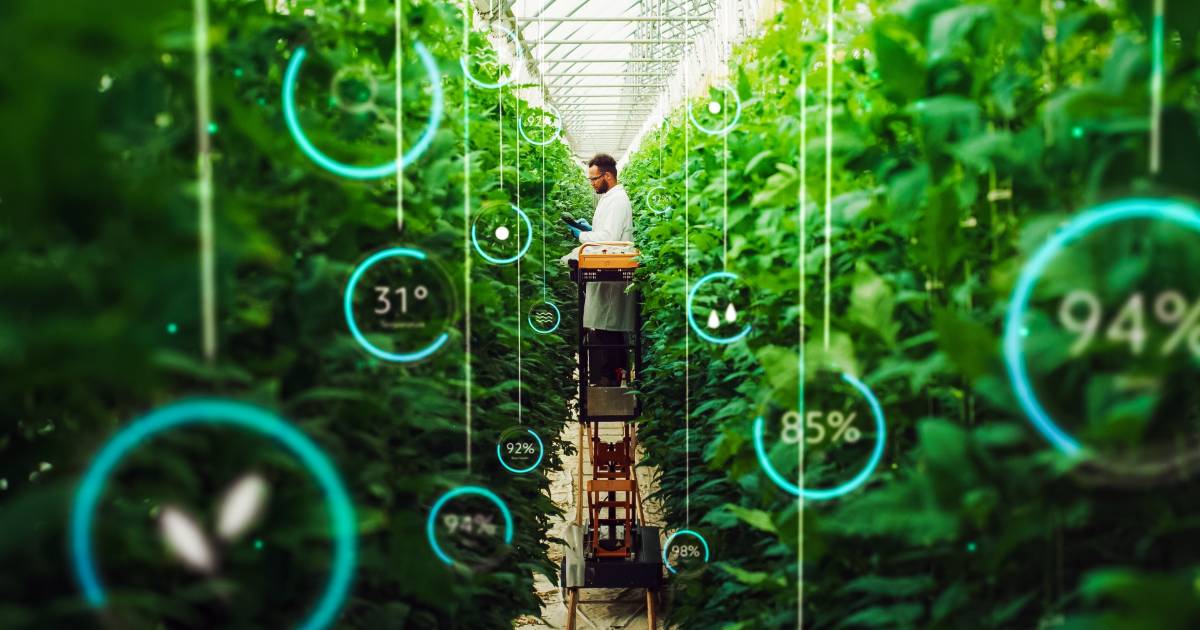 Cientista em uma estufa rodeado por plantas verdes, utilizando tecnologia para monitoramento agrícola. Gráficos digitais de temperatura, umidade e outros indicadores estão sobrepostos, simbolizando o uso da biotecnologia e da inteligência artificial na agricultura