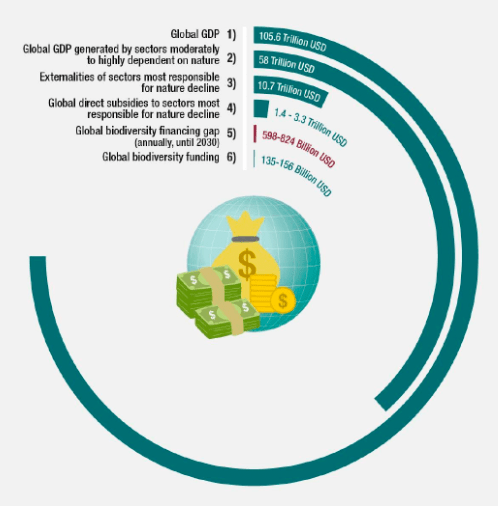 Figura SPM.7: O panorama econômico da sustentabilidade global: interdependências e lacunas de financiamento. A figura ilustra o forte contraste entre a dependência (2) e o impacto (3) dos setores econômicos na natureza, e entre o investimento público em setores econômicos que impulsionam o declínio da natureza (4) e o financiamento da biodiversidade (6). O comprimento dos arcos é ajustado à inflação para representar uma parcela do PIB global de 2023 (estimado em US$ 105,6 trilhões). 1) PIB global em 2022 (US$ 105,6 trilhões); 2) PIB global
