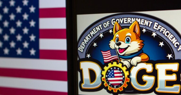 doge, elon musk, eua